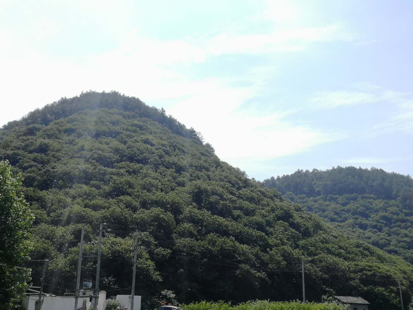 建德市梅城镇千鹤村100亩林地30年承包经营权